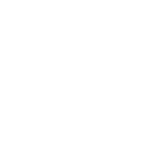 Toulon Handball Masculin